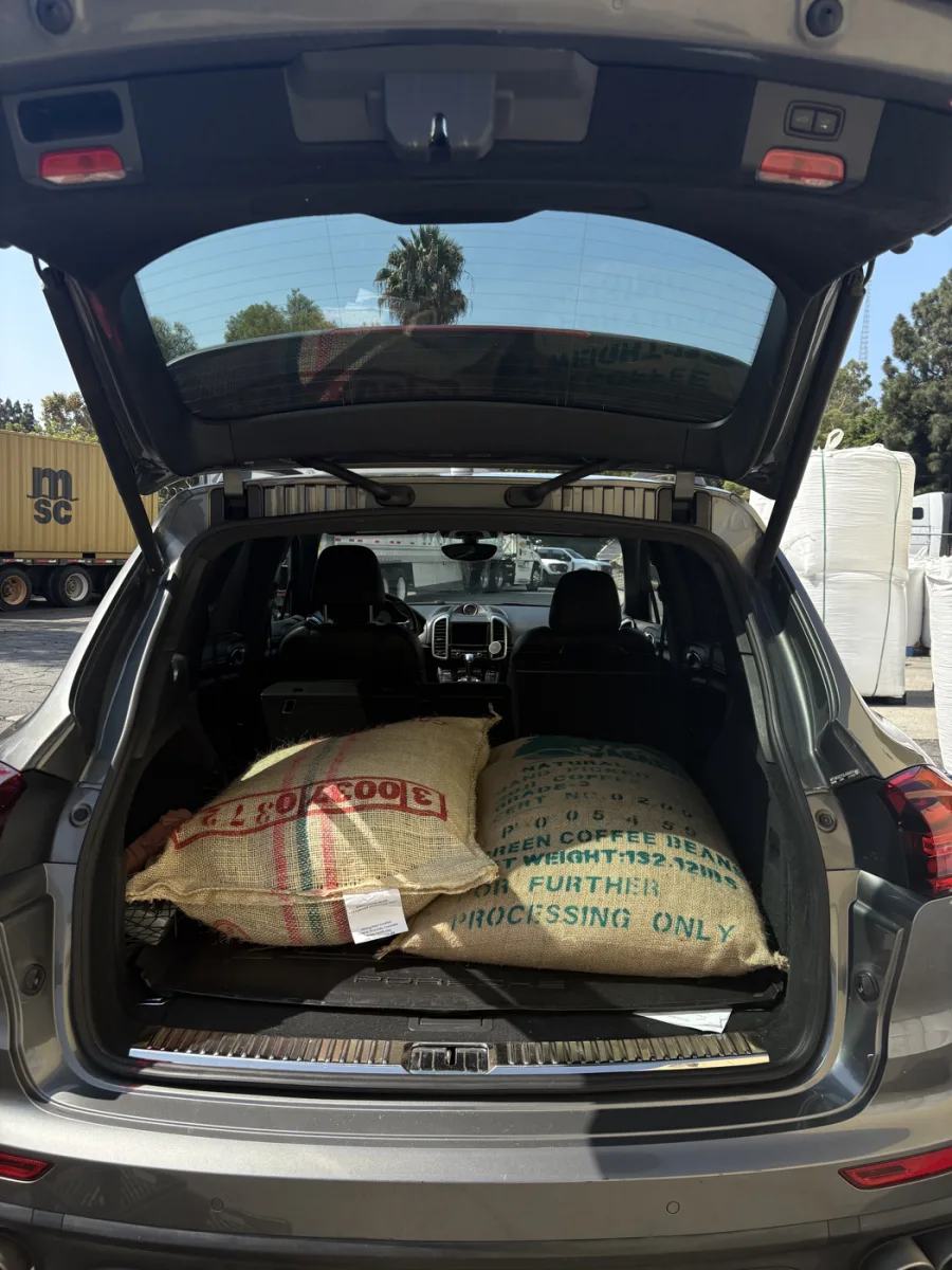 Two sacks of green coffee in the back of the car